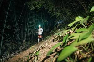 BIB: 
                            <button type="button" onclick="openModal(28145303)" class="btn btn-primary btn-sm float-right btn-popup" data-toggle="modal" data-target=".modal-high-quality">
                        <i class="fas fa-shopping-cart"></i> Add to Cart
                    </button>
                                            <button type="button" onclick="isThisMe(28145303, true)" class="btn btn-success btn-sm float-right btn-popup btn-isme hidden" data-toggle="tooltip" data-placement="bottom" title="นี่คือรูปของคุณใช่ไหม คลิกที่นี่เพื่อเอาเข้าอัลบั้ม">
                        <i class="fas fa-plus"></i> Add to album
                    </button>
                    <button type="button" onclick="isThisMe(28145303, false)" class="btn btn-warning btn-sm float-right btn-popup btn-isnotme hidden">
                        <i class="fas fa-ban"></i> Remove from album
                    </button>